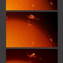 A set of three photos of the Sun with an emphasis on a prominence of plasma floating away from the core section of gases.