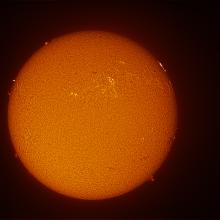 Disc view of the Sun, with a view of a few sunspots and prominences throughout the disc.