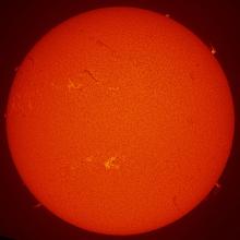 Disk view of the Sun's surface with multiple prominences and filaments as well as a solar flare in the bottom left quadrant.