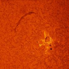 Close-up view of a sunspot group and filament visible on the Sun's surface.