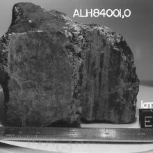 Meteorite ALH84001