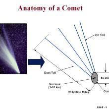 A chart explains the basic anatomy of a comet.