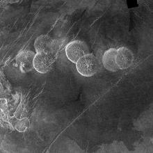 A radar view of Lava Domes, which look like circular hills, on the surface of Venus.