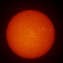 Disk view of the Sun with multiple prominences of plasma rising above the surface of the Sun and a large sunspot cluster on the top right quadrant.