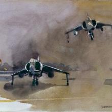 <i>Harriers, a Pair</i> in <i>Fly Marines!</i>