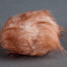 Brown and light-brown-colored fur animal prop used in the television show Star Trek.