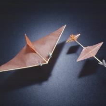 Insect Powered Model Airplanes