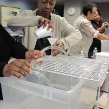 Teachers pour liquid between containers.