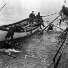 Photos of a wreckage of a rum runner, recovered by sailors