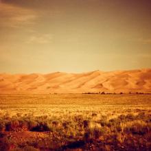 Filtered image of the sand dunes in landscape. 