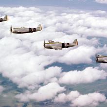 A flight of Mexican 201 Squadron P-47 Thunderbolts over Luzon