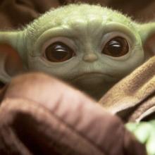 Baby Yoda fills the image. 