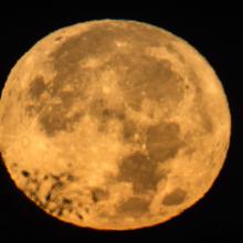 Moon takes up the complete frame and appears orange. 