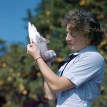 Specialist (X) second class Marcelle Whiteman gently holds one of the 200 carrier pigeons