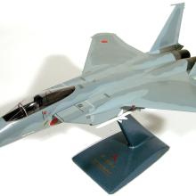 A model of a fighter jet plane. 