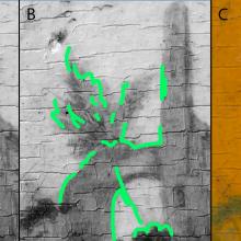 An image from an infrared light showing the artist's preparatory sketch.