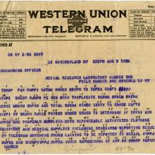 Telegram Text