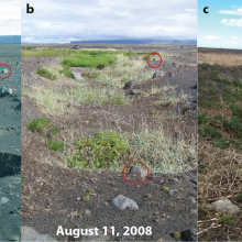 three photos of pit chains in iceland