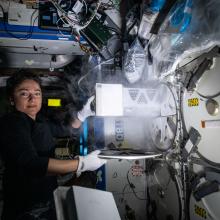 astronaut on space station retrieves samples from compartment