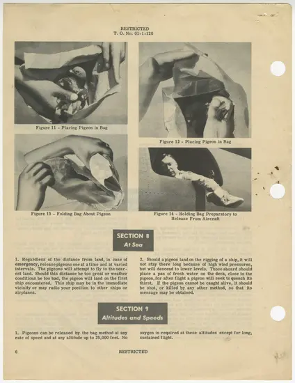 A manual page showing how to put a pigeon in a bag.