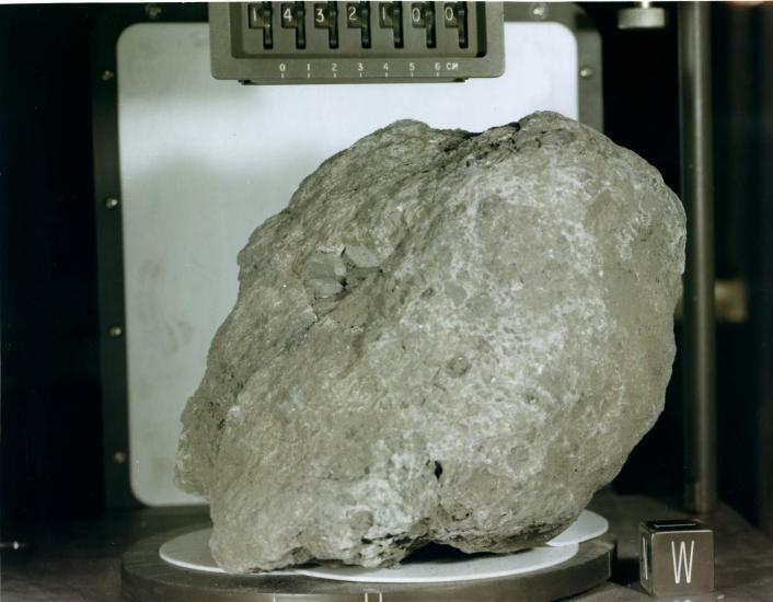 A rock.