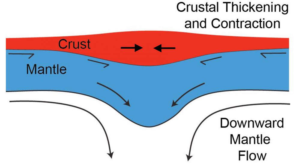 Downward mantle flow in Mercury’s mantle