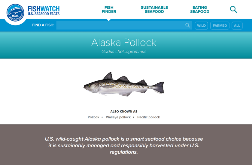 A screenshot of the FishWatch U.S. Seafood Facts website featuring an Alaska Pollock.