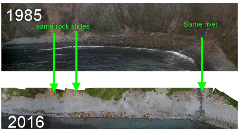 A comparison of a riverside from 1985 to 2016.