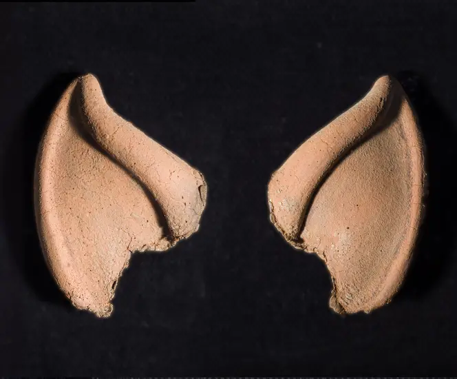 Pointed, flesh-tone, foam ear tips with jagged, tapered bottom