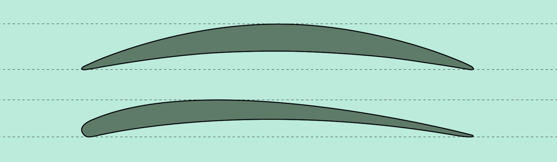 A drawing of two different thin crescent shapes which are meant to represent wings. The top one is in the shape of a perfect arc, with the high point in the center. The bottom one features a shallower curve, with the high point being towards the left.