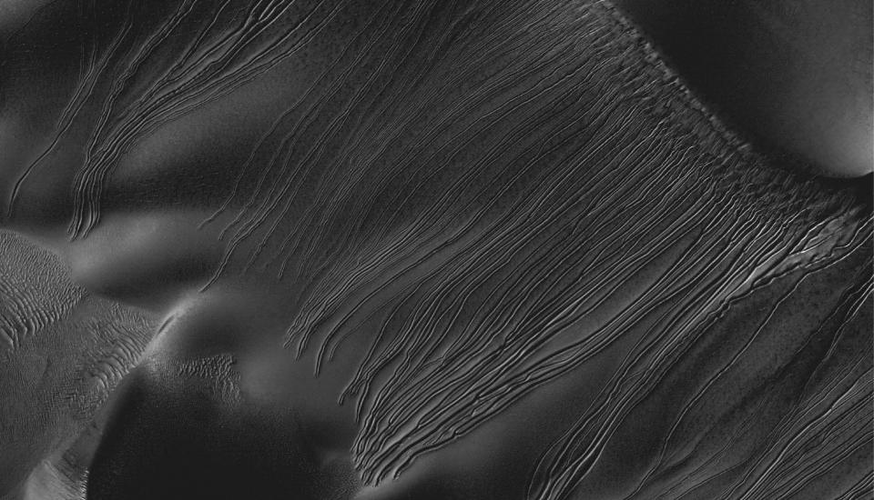 A dark grey image featuring lines, known as linear gullies, on the surface on Mars.