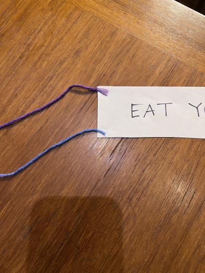 A piece of paper that says "Eat" on it, tied to two strings.