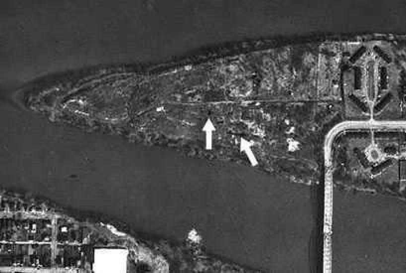 An aerial photo of a triangular shaped island that has a bridge connecting it to the mainland. Arrows points to dark patches near the center of the island.