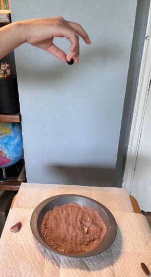 A hand is poised above a bowl of brown material. The hand holds a rock.