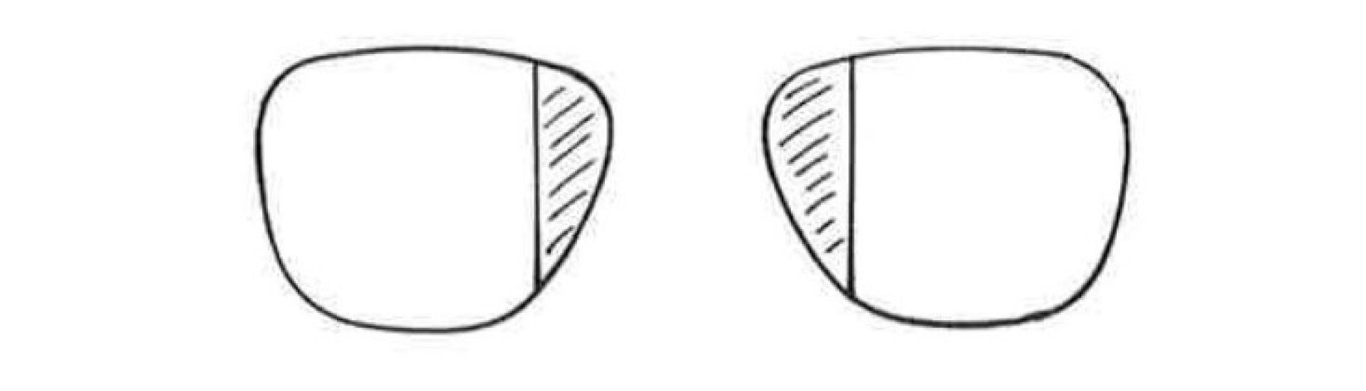 Drawing of a pair of bifocals with vertical lenses inlaid.