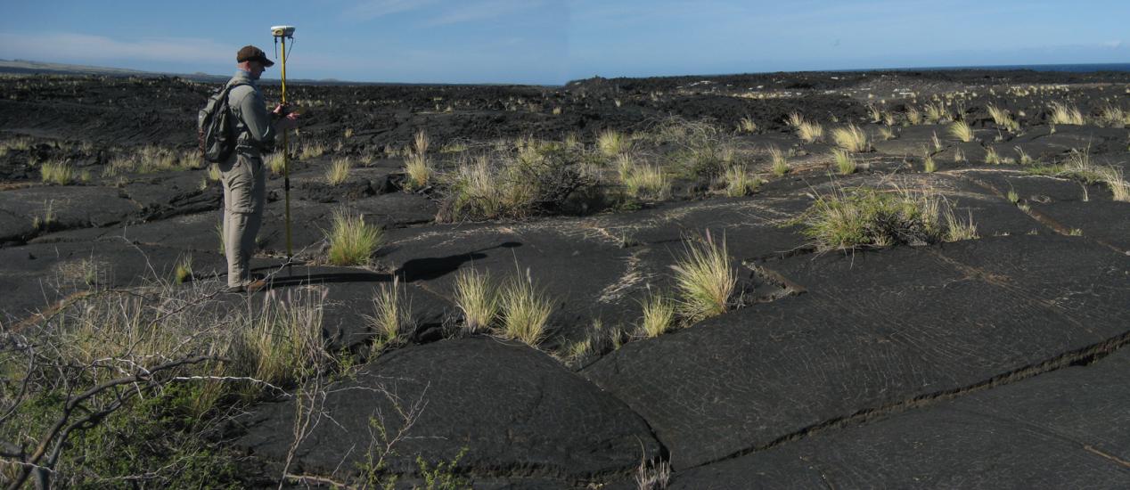 A field of Volcanic Rock Located in Hawaii