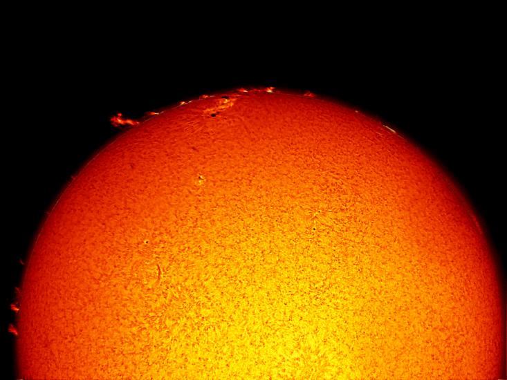 Partial disk view of the Sun's chromosphere highlighting many prominences of gas floating beyond the atmosphere at the edge of the disk. A large sunspot cluster of dark spots and lighter phages is also visible near many of the prominences at the top of the disk.