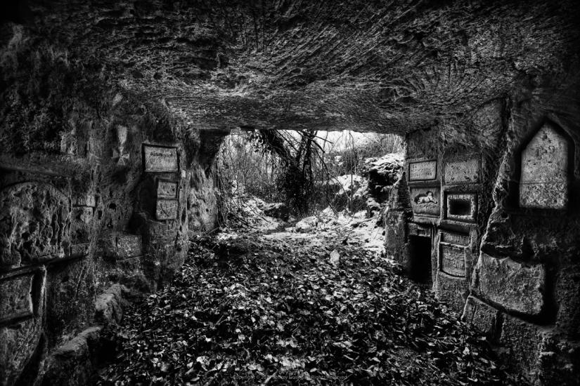 A view from inside a tunnel looking out. 