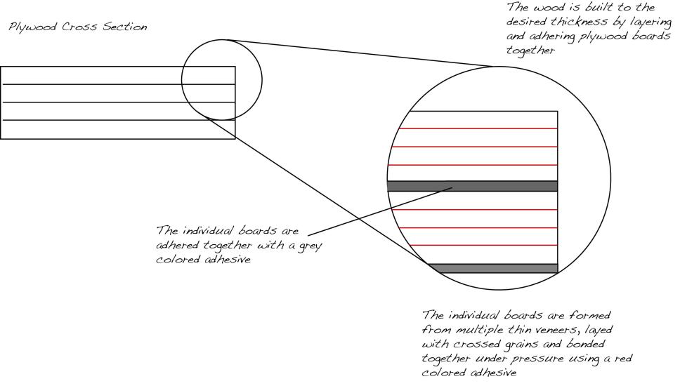Cross Section of Plywood in Good Condition