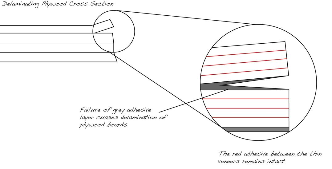 Cross Section of Delaminated Plywood