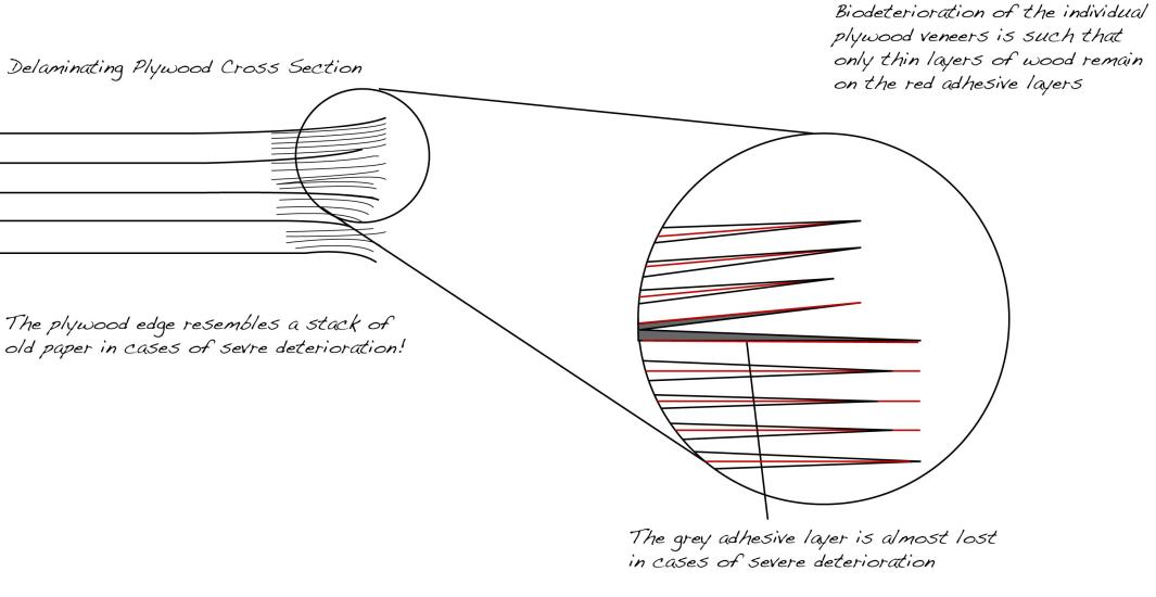 Schematic of Deteriorated Plywood