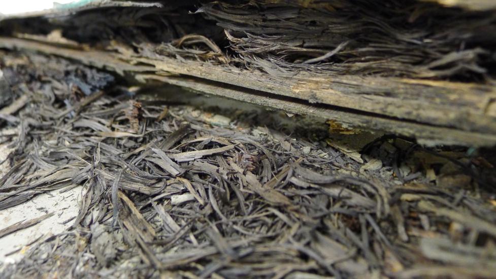 Remaining lumber section with a single plank surrounded by scraps from a World War II-era aircraft.