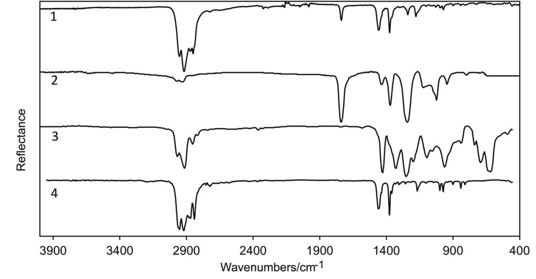 Horten FTIR Spectrum 