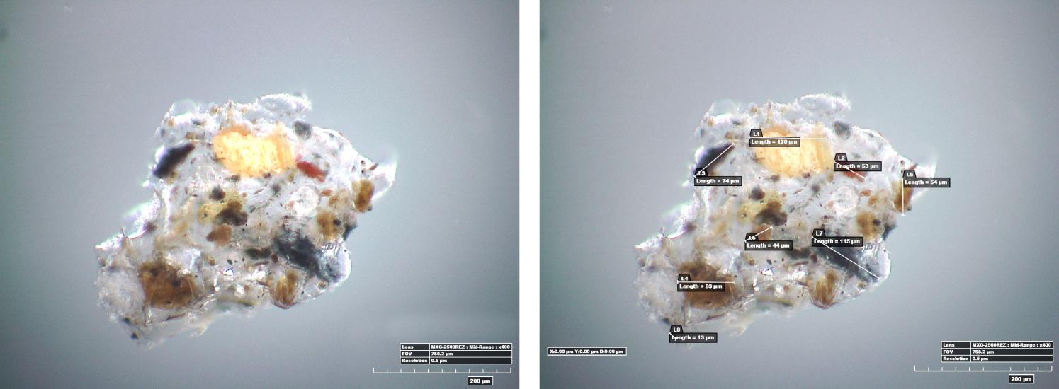 Two microscopic views of one section of adhesive sampled from a World War II era aircraft. Yellow and black inclusions are visible in the sample, and in the right view are labeled with measurements.