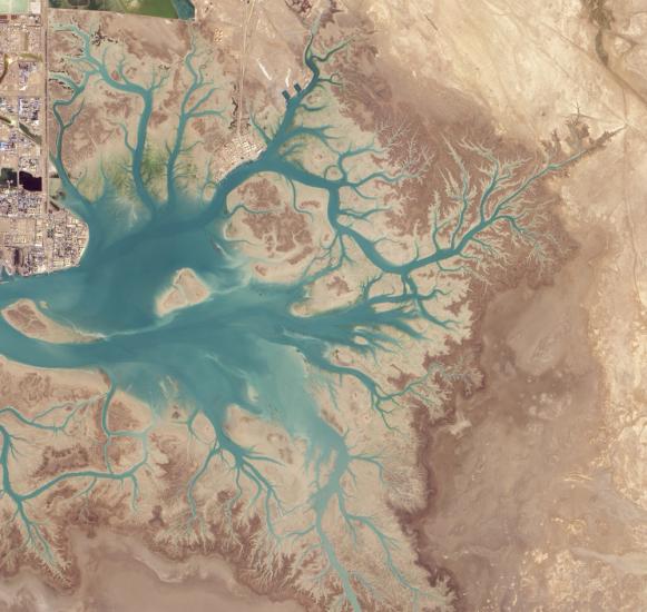 Satellite view of a estuary in the mostly-desert climate of Iran. The estuary features small branches that give it a tree-like shape.