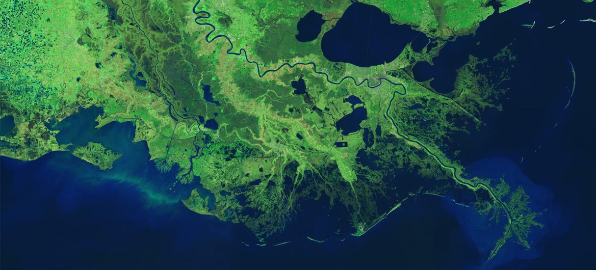 Satellite view of the Mississippi River's lower sections in Louisiana. The view is edited so that vegetation is various shades of green while bodies of water are visible as various shades of blue.