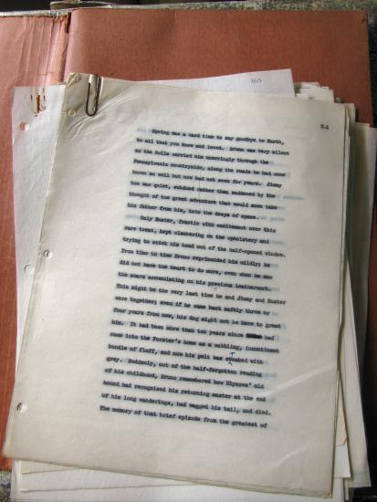 Clarke Typewritten Notes