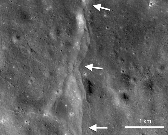 A set of fault scarps, or lines of rising crust on the Moon, which are pointed out using white arrows.