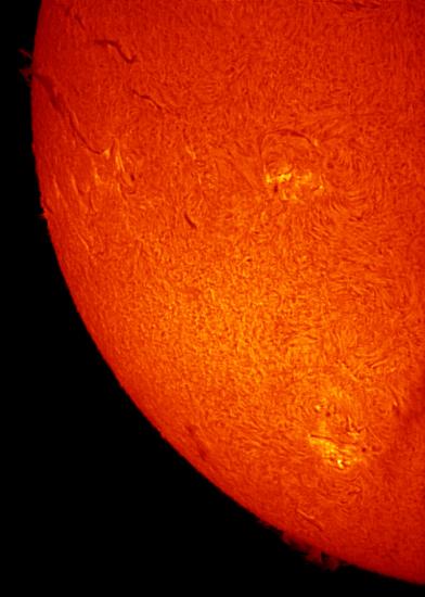 Partial disk view of the Sun highlighting multiple sunspots and prominences of plasma floating above the surface.