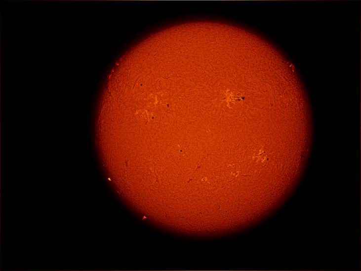 Disk view of the Sun with multiple visible sunspot clusters and prominences of plasma rising above the Sun's surface.